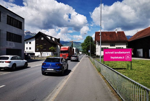 Strassenstellen Zollstrasse 32, 9494 Schaan